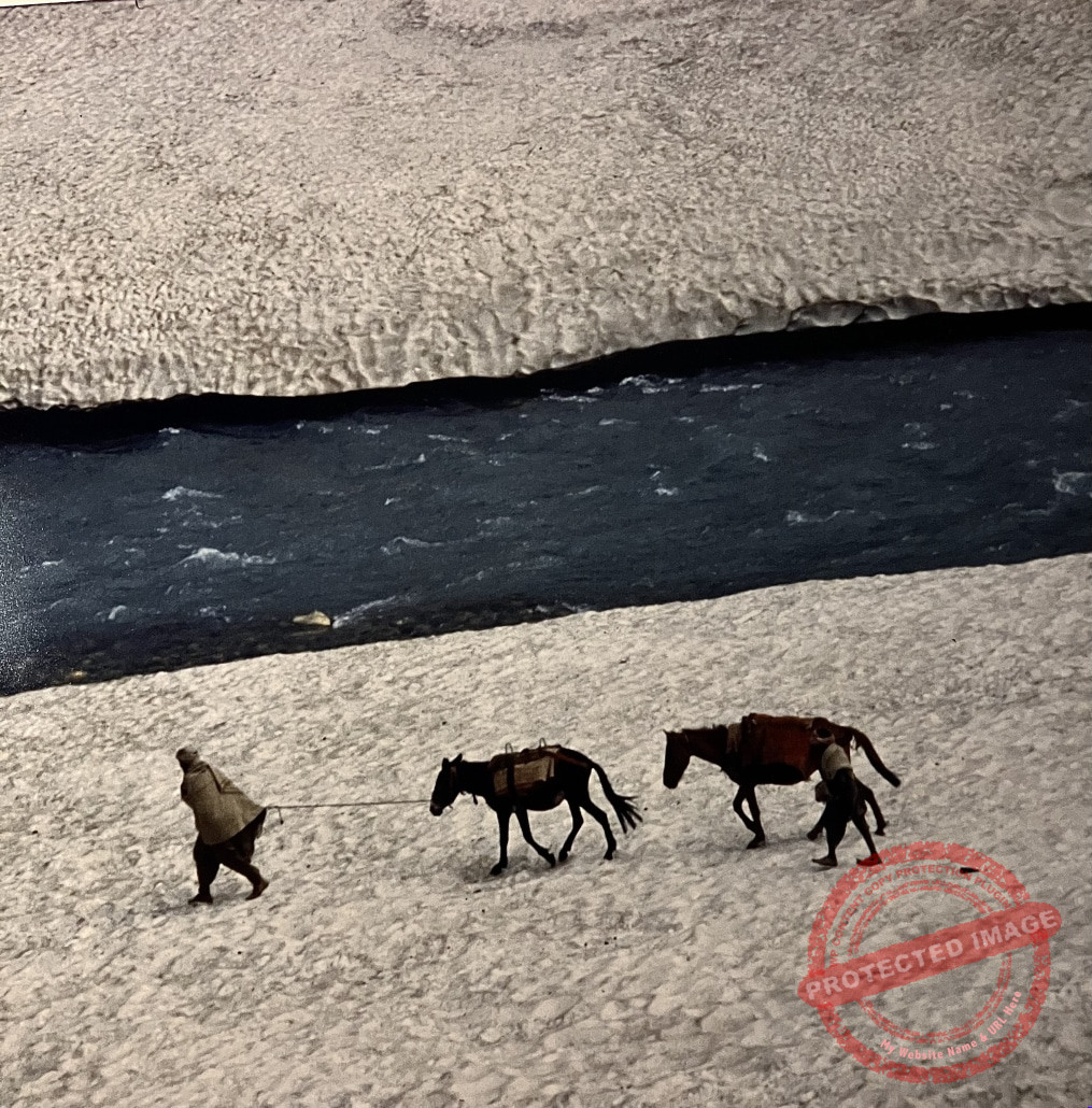 Il cammino lungo il fiume